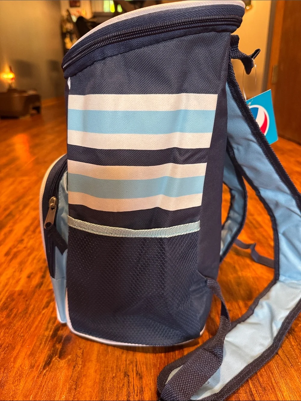 Rays Baseball Cooler Backpack